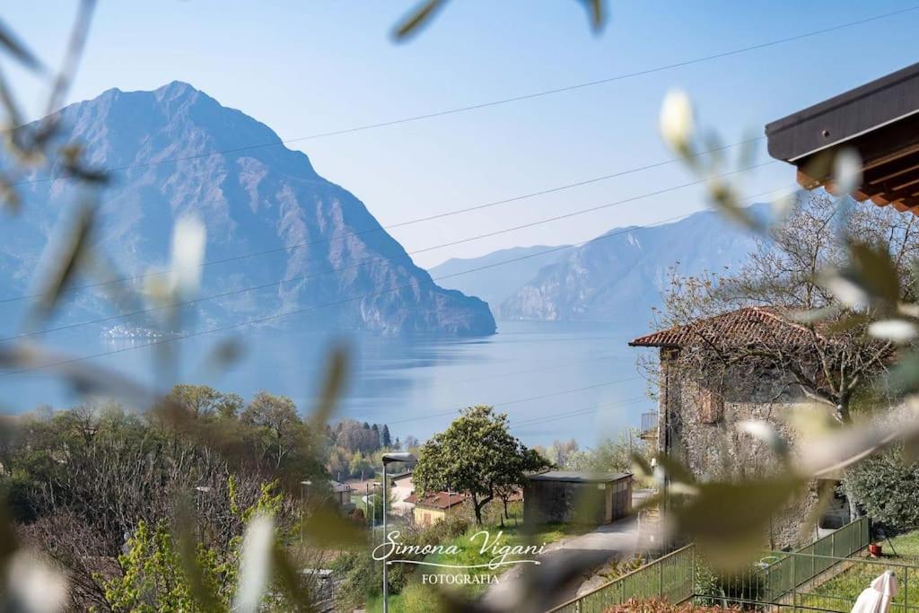 Il Giardino Di Laura Διαμέρισμα Costa Volpino Εξωτερικό φωτογραφία